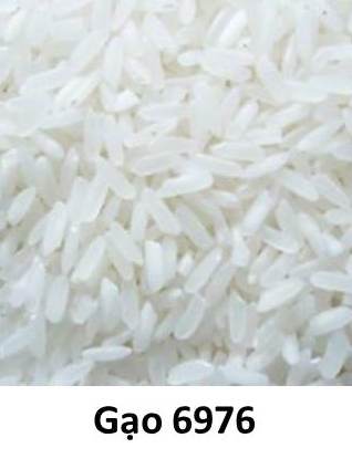 Gạo 6976